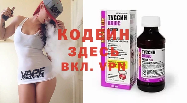 таблы Бородино