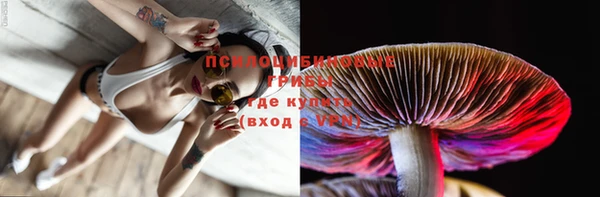 таблы Бородино