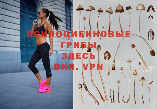таблы Бородино
