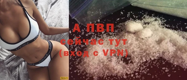 таблы Бородино