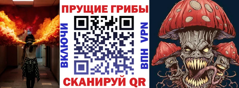 ссылка на мегу ссылки  площадка как зайти  Галлюциногенные грибы Cubensis  наркошоп  Братск 